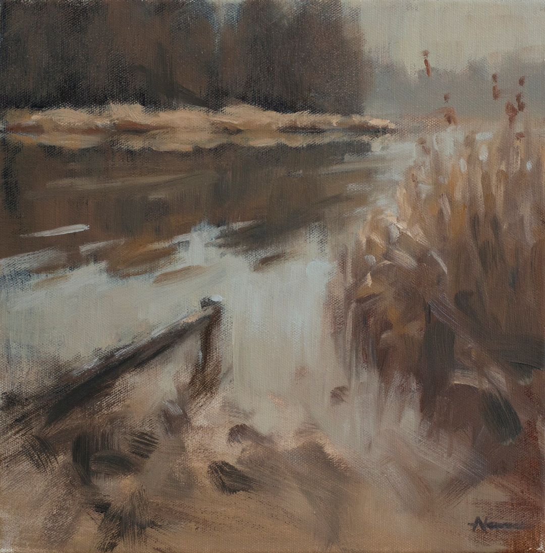 Blickling Lake, Winter