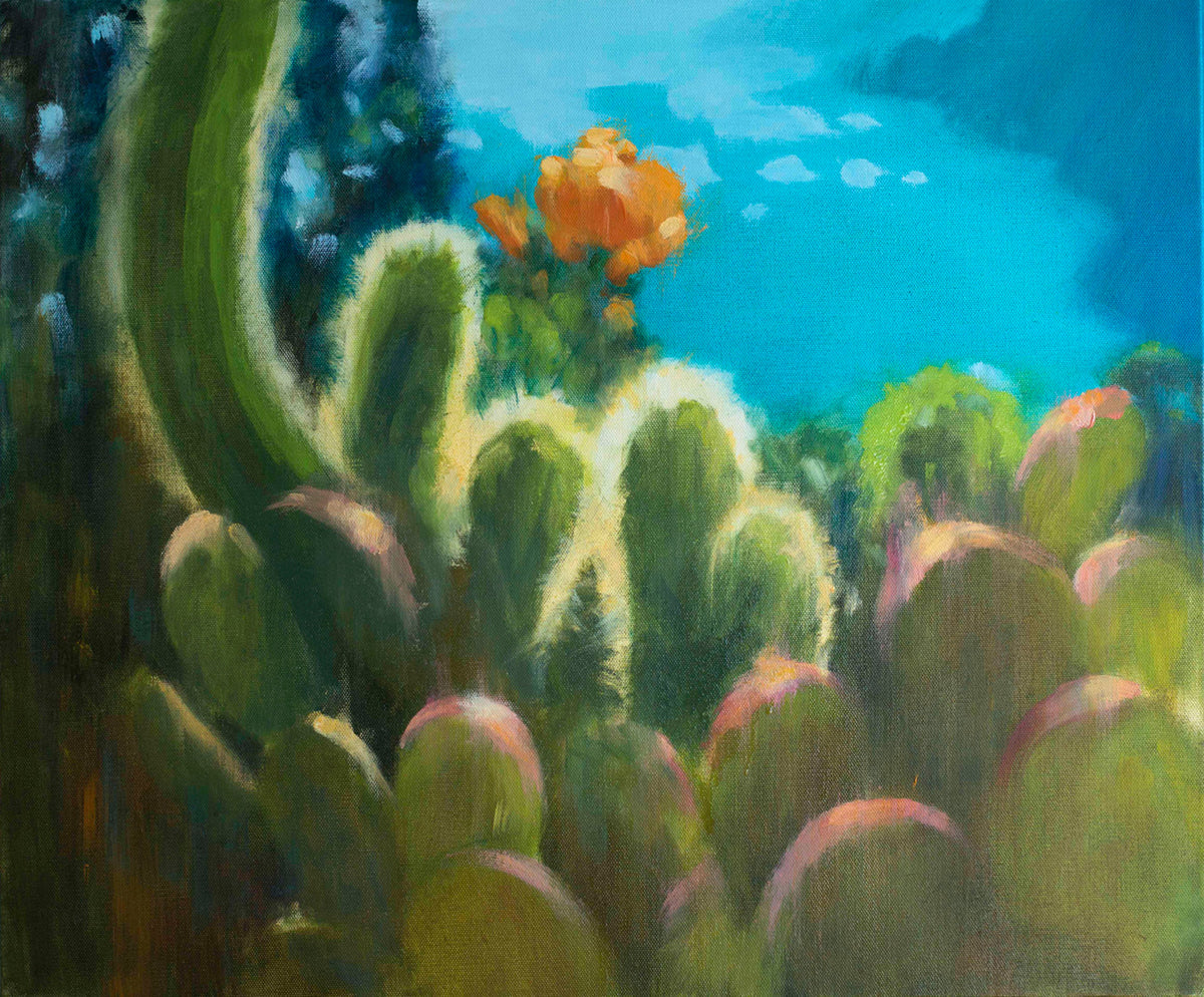 Cacti, Capri