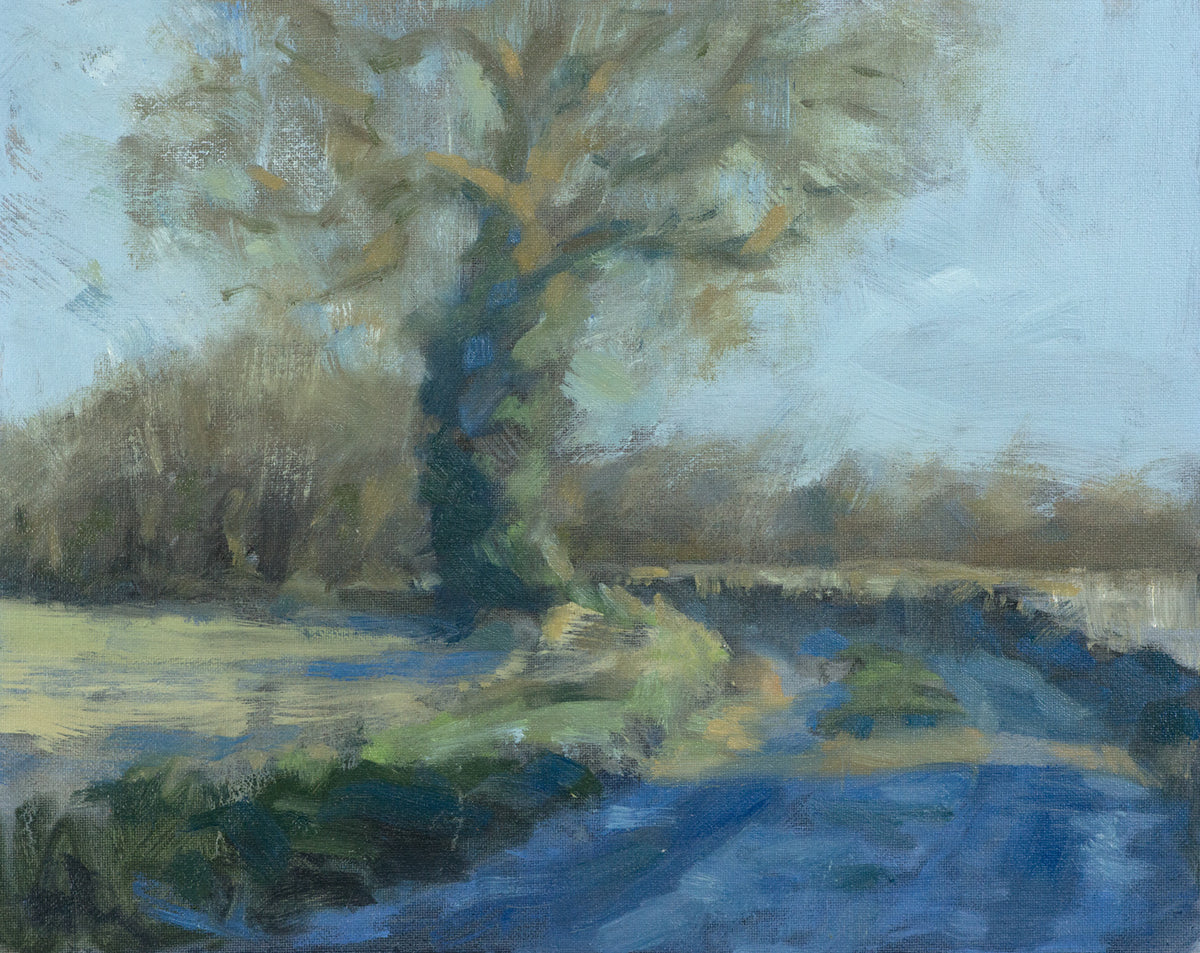 Blue Shadows and Frost